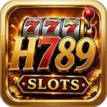 H789 Game