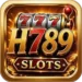H789 Game