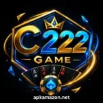 C222 Game